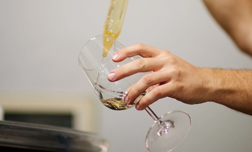 Image 5: Visita a bodega con cata de vinos o cavas y aperitivo para 2 o 4