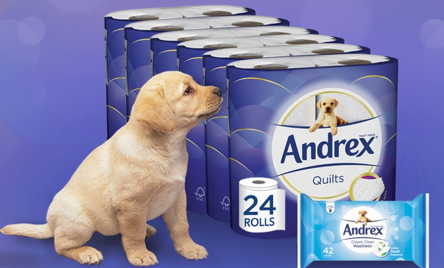 Image 3: Andrex Toilet Paper