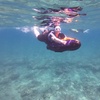 Image 6: Up to 41% Off SEABOB Snorkel Tours – Fort Lauderdale Beach
