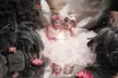 Capture Childhood Magic in Enchanted Forest Photo shoot for Children Aged 3 to 10 with Prints (Up to 97% Off) - Image 3