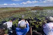 Explore Wildlife on an Everglades Airboat Tour in Kissimmee with Northern Everglades Adventures (Up to 18% Off) - Second Medium