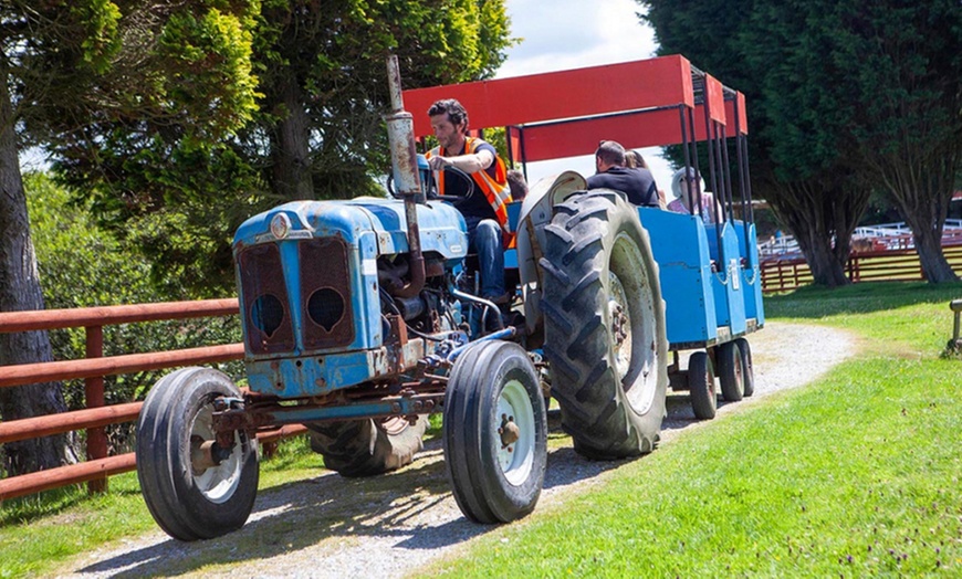 Image 5:  Experience Endless Fun with Entry for One, Two or Family of Four 