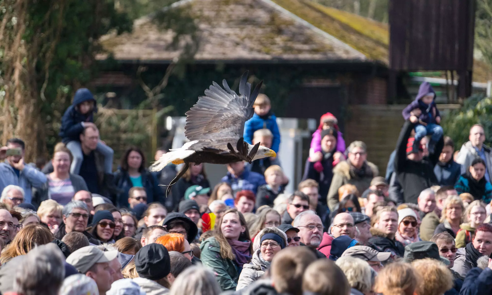 Tageskarte Weltvogelpark Walsrode