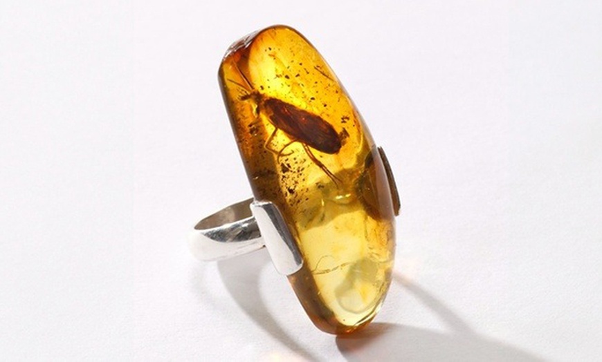 Image 4: Zostań mistrzem aparatu: kursy fotografii produktowej i na modelach