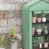 Image 16: Outsunny Mini Greenhouse
