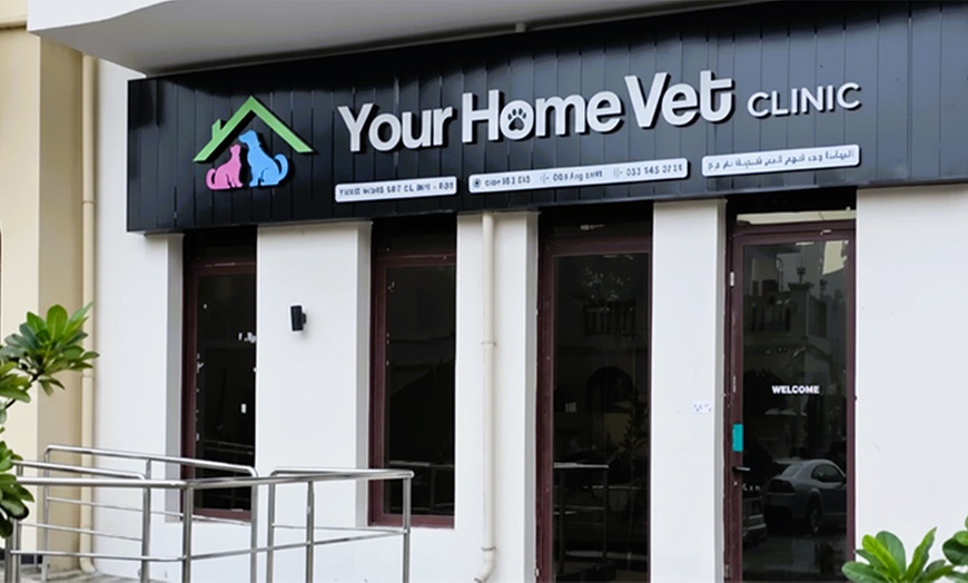 Image 2: Cat or Dog Consultation, Deworming, and Optional Annual Vaccine 