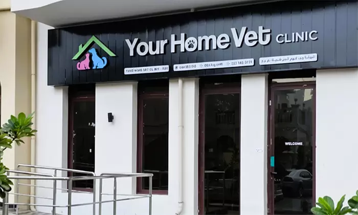 Cat or Dog Consultation, Deworming, and Optional Annual Vaccine