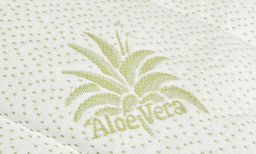 Image 3: Topper de Aloe Vera