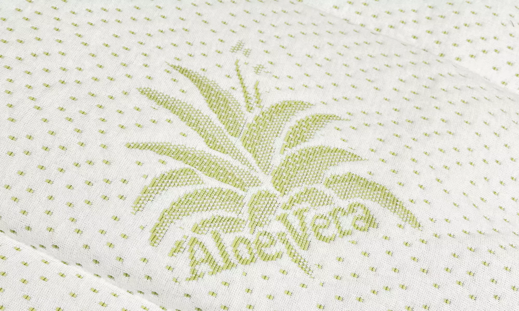 Topper de Aloe Vera con envío gratuito - Second Medium