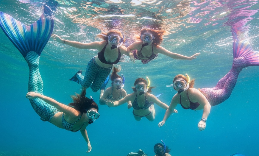 Image 4: Experiencia sirena de 90 minutos en el mar con fotos incluidas 