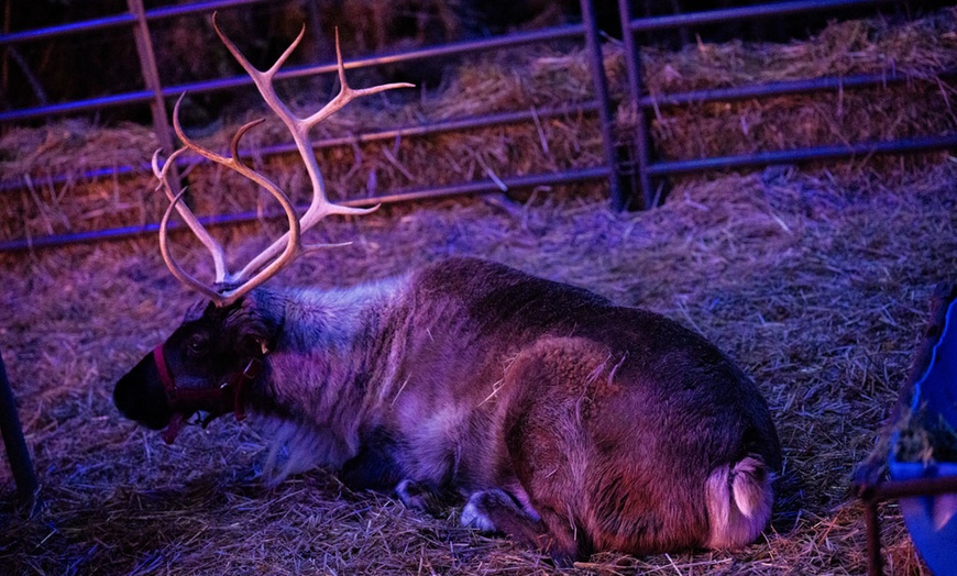 Image 6: Frostival Light Show & Santa Experience – Howell Family Farms