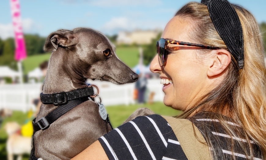 Image 2: DogFest 2025 | Your Favorite Dog-Friendly Festival 