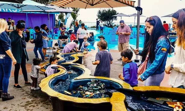 Discover the Wonder of the Ocean at Birch Aquarium