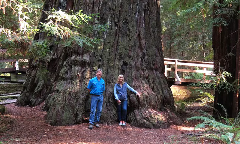 Relax in spa-inspired luxury on the Mendocino Coast