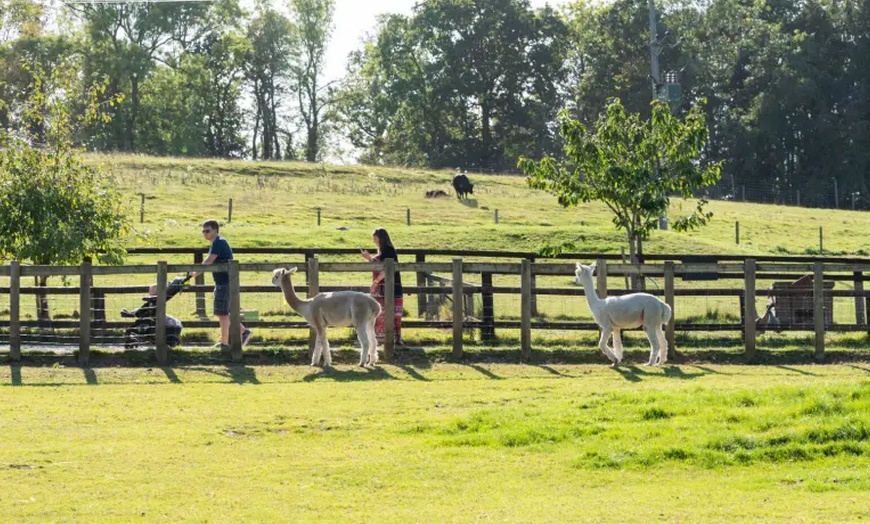 Image 5: This Halloween & Christmas Peak Time Farm and Soft Play Ticket 