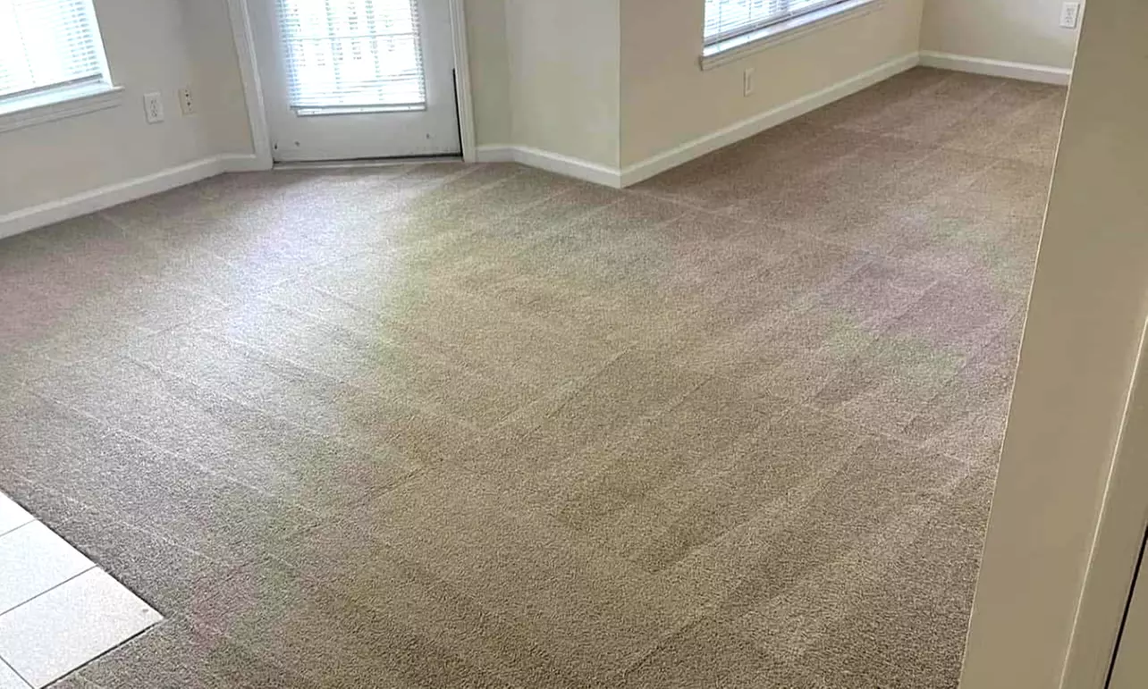 Eco-Friendly Truck-Mounted Steam Carpet Cleaning