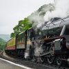 Image 2: North Yorkshire Moors Railway Day Rover Tickets: Up to 51% Off