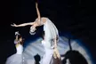 Premier Ballet’s The Nutcracker (December 6 - 7) - Second Medium