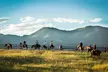 Exclusive 1 Hour Horseback Riding for Adults or Kids & Cowboy Cookout Options at Glenwood Adventure ( Up to 20% Off) - Second Medium