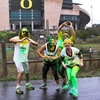 Image 3: Join the Oregon Ducks 5K Color Run: Solo, Two, or Four Ducks