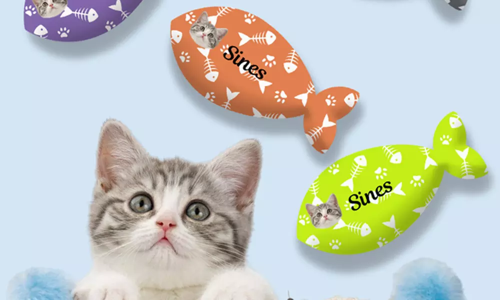 One or Two Custom Pet Toys - Custom Frisbees or Bones Available!