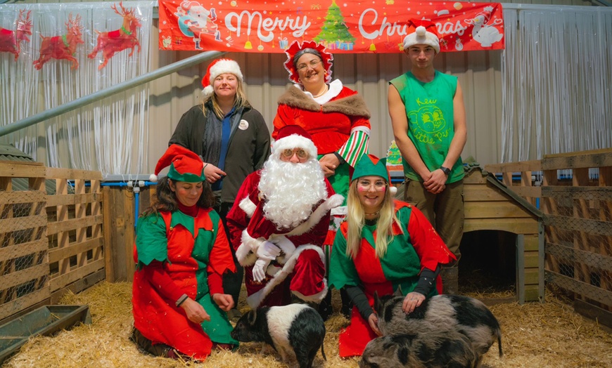 Image 16: 2-Hour Piggy Pet & Play Experience for a Child, Adult, or Family of 4