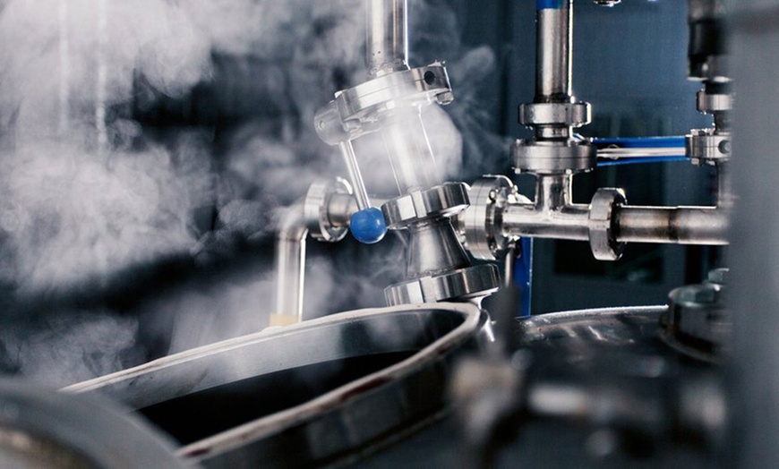 Image 5: Brewery Tour with Beer & Cheese Pairing for 1, 2, or 4 Guests