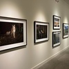 Image 3: Florida Museum of Photographic Arts Exhibitions