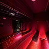 Image 2: Revitalise with Red Light Therapy Session for One or Two