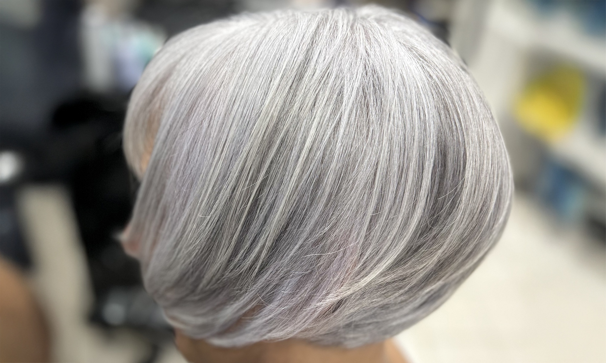 Refresh Your Look with a Women's Haircut + Opt Conditioning & Blowout