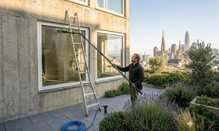 Exterior Window Cleaning Service (Up to 5 Windows) - Pure Water, Streak-Free Finish - Shine Squad Exterior Cleaning