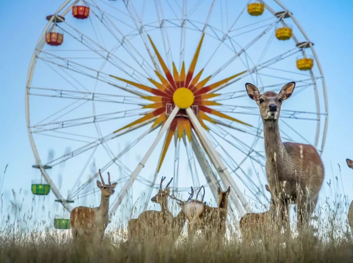 Ticket ab 4 Jahren für den Sonnenlandpark für Winter oder Saisonstart