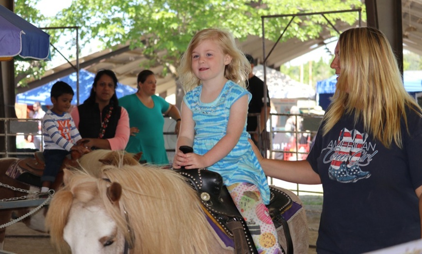 Image 6: Up to 39% Off Admission to BerryFest Strawberry Festival