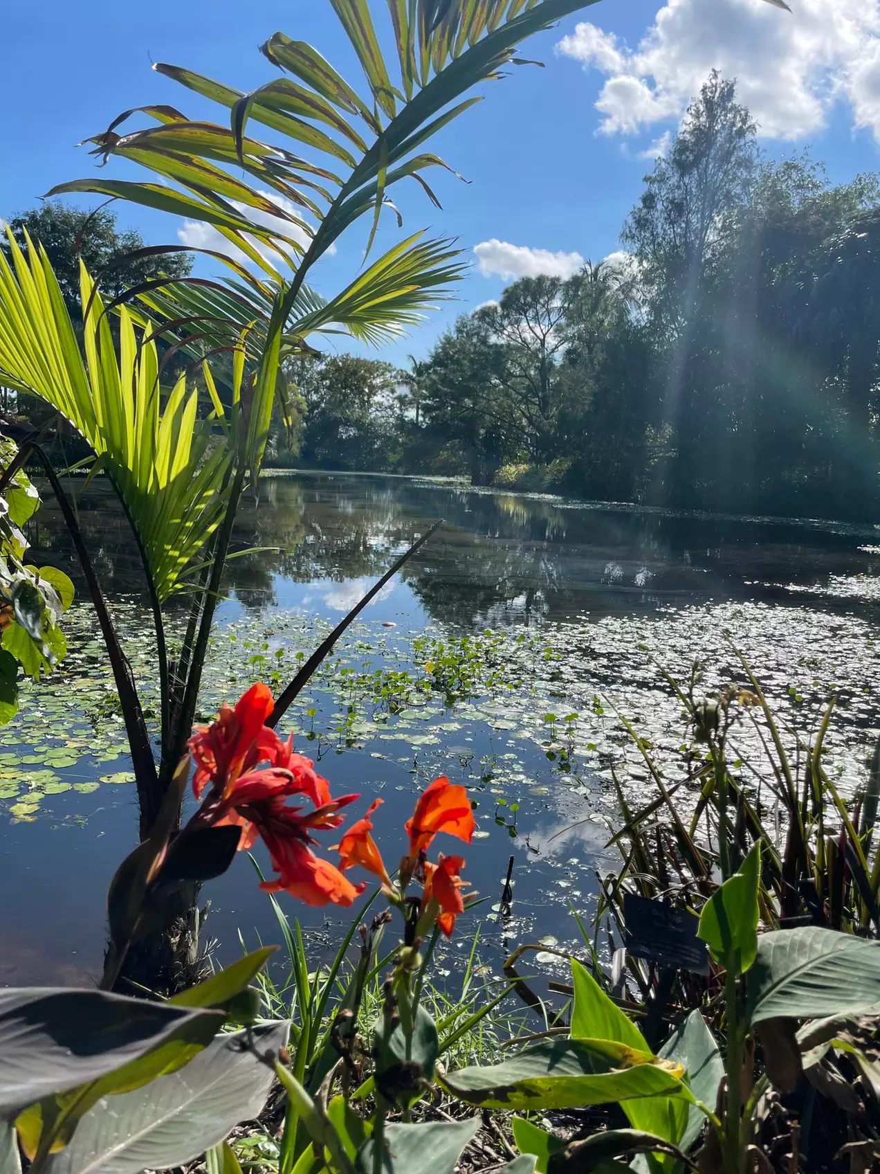 Step Into Nature’s Wonderland at Mounts Garden with GA Tickets
