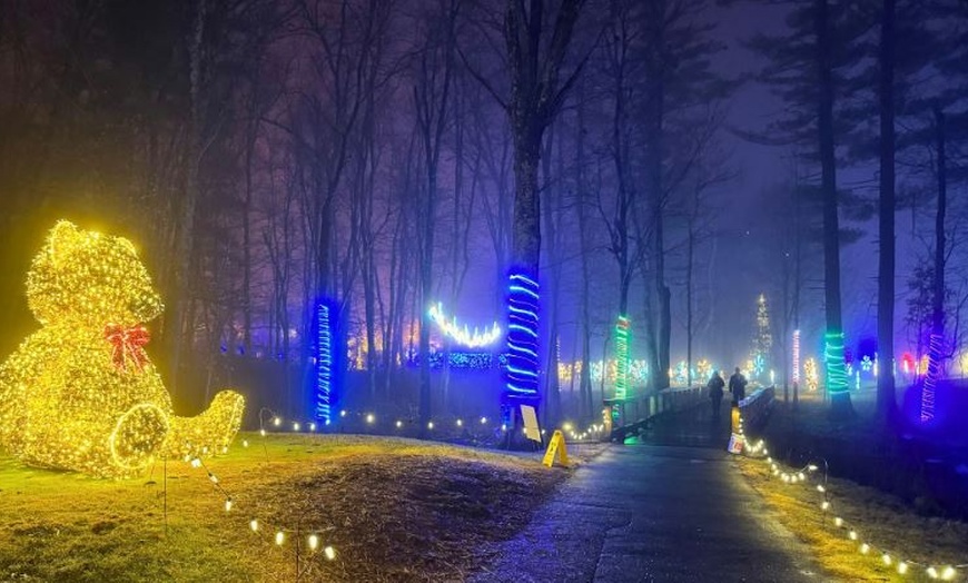 Image 3: Sparkling Holiday Lights at Labelle Winery in Derry, NH