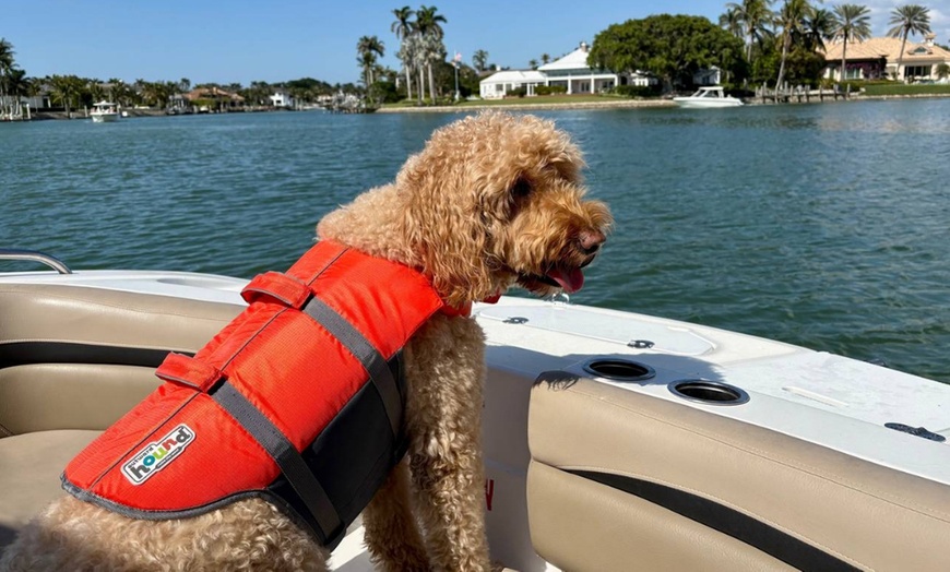 Image 5: Explore with a 2-Hour Private Boat Tour for Up to 8 People