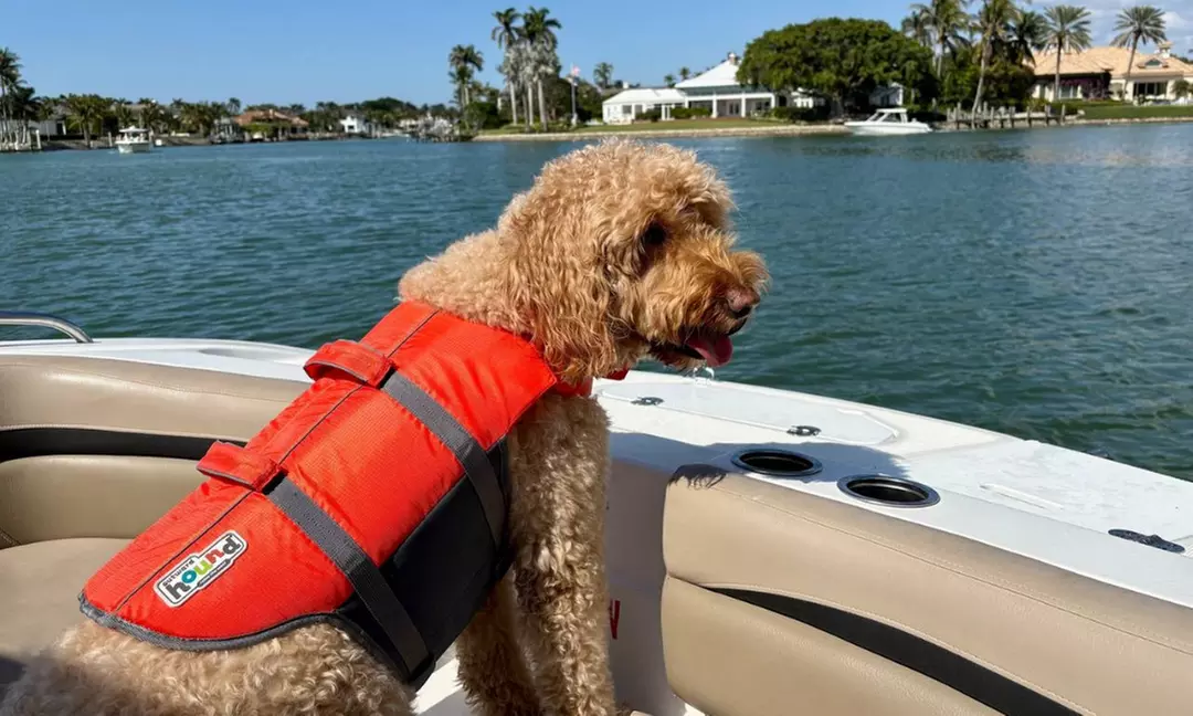 Explore with a 2-Hour Private Boat Tour for Up to 8 People