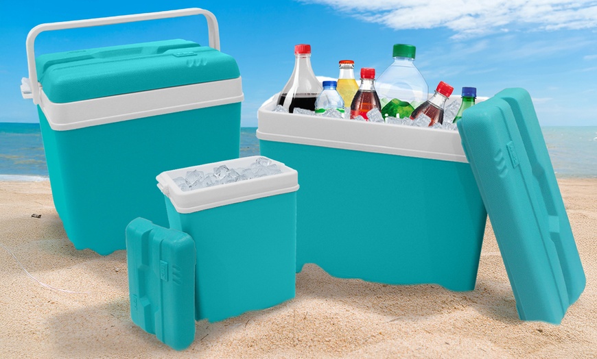Image 3: Insulated Cooler Ice Box and Optional Ice Blocks 15L, 24L, 35L
