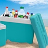 Image 3: Insulated Cooler Ice Box and Optional Ice Blocks 15L, 24L, 35L
