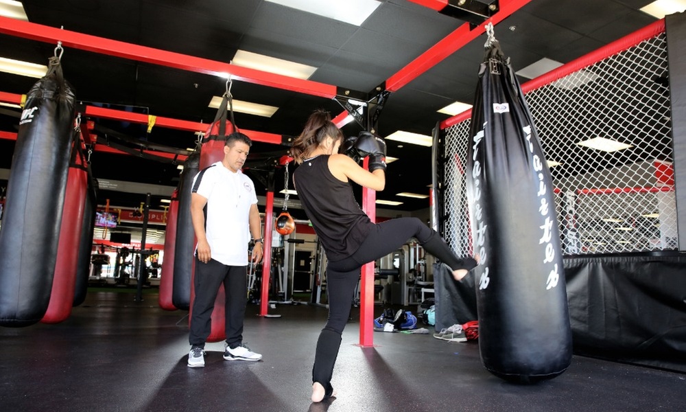 Fitness Assessment + Boxing, Kickboxing & Self-Defense Training
