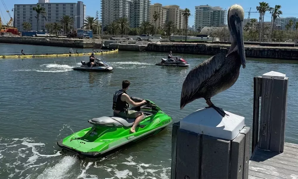 Jet Ski Rental Sarasota