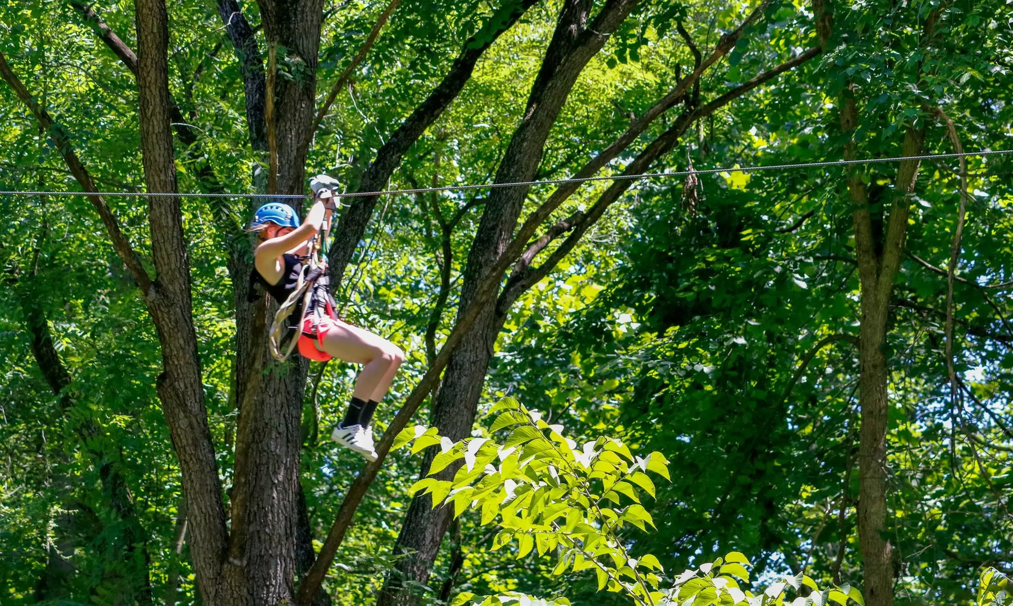 Zipline Adventure for One or Two at Common Ground Canopy Tours (Up to 31% Off) - Second Medium