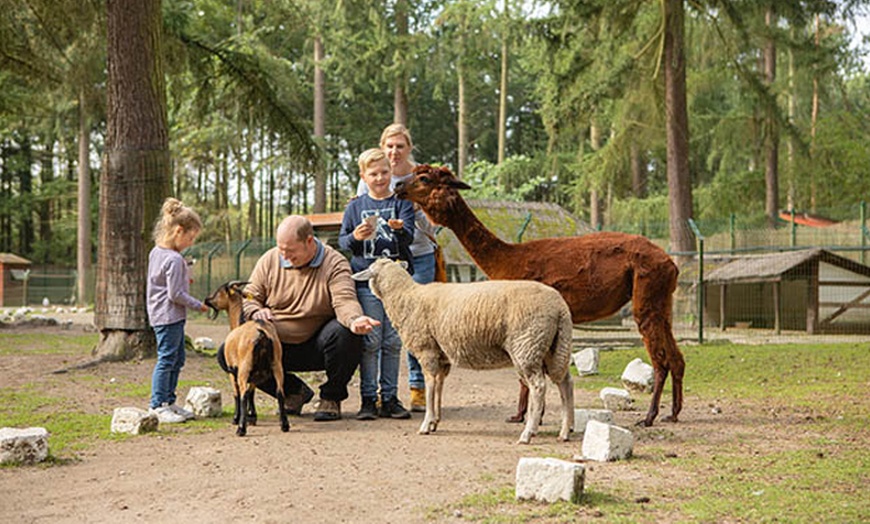 Image 8: Tages-Eintritt für den Magic Park Verden für 1 oder 2 Personen