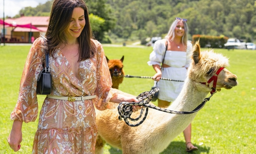 Image 9: 30-Min Alpaca VIP Experience: Alpaca w/ Lanyard & $5 Voucher for 1-6