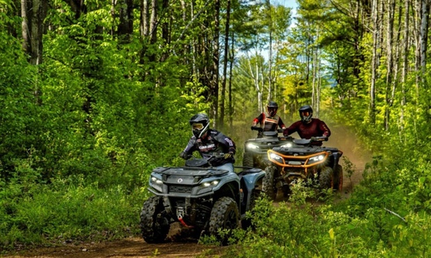 What to expect media