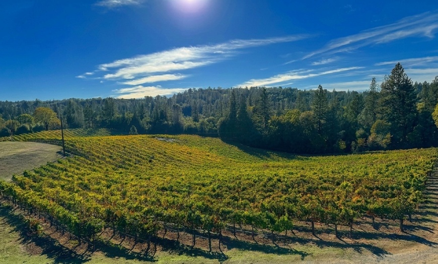 Image 4: Wine Tasting Experience w/ Personal Charcuteries for Up to 4 and More