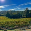 Image 4: Wine Tasting Experience w/ Personal Charcuteries for Up to 4 and More