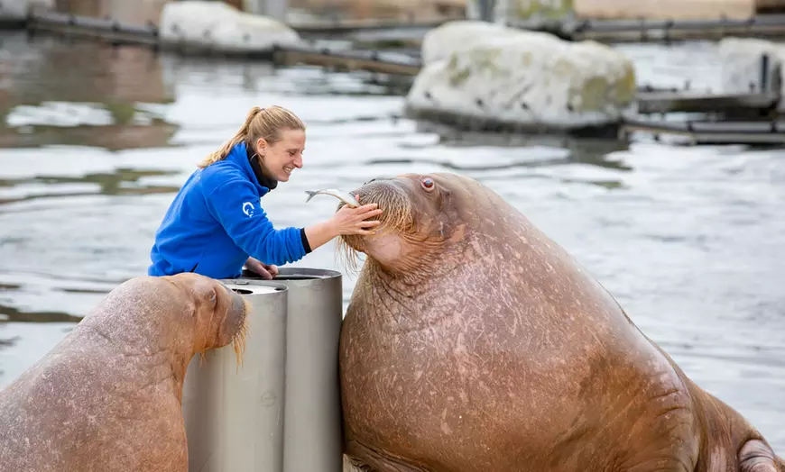 Image 3: Ontdek de dieren van de zee en neem zelf een duik in het Dolfinarium