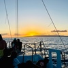 Image 7: Explore with One Hour Aloha Sail for One, Two or Four  