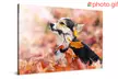 Individueller Fotoprint auf Acrylglas mit Aluminium-Platte von Photo Gifts (bis zu 70% sparen*) - Second Medium